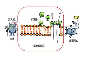 图片5.png