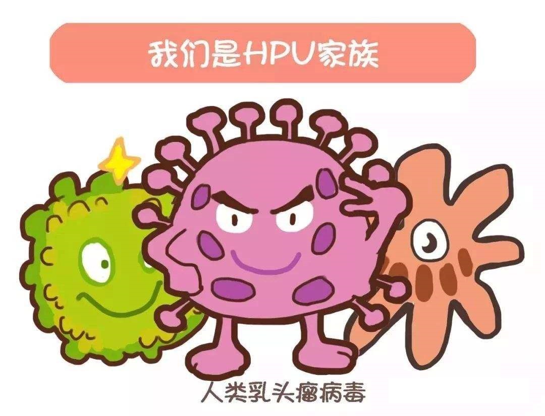 HPV病毒.jpg