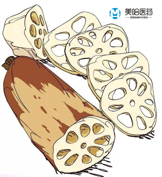 莲藕.jpg