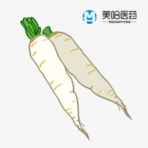 白萝卜.jpg